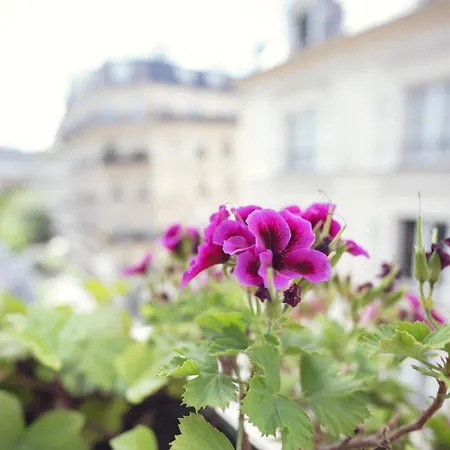 Rodier