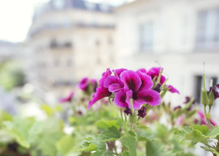 -rodier-